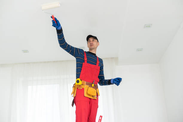 Best Trim and Molding Painting  in Wolverine Lake, MI