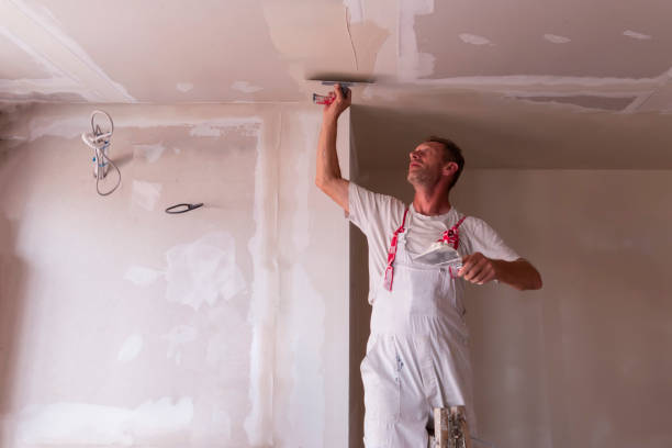 Best Drywall Installation  in Wolverine Lake, MI